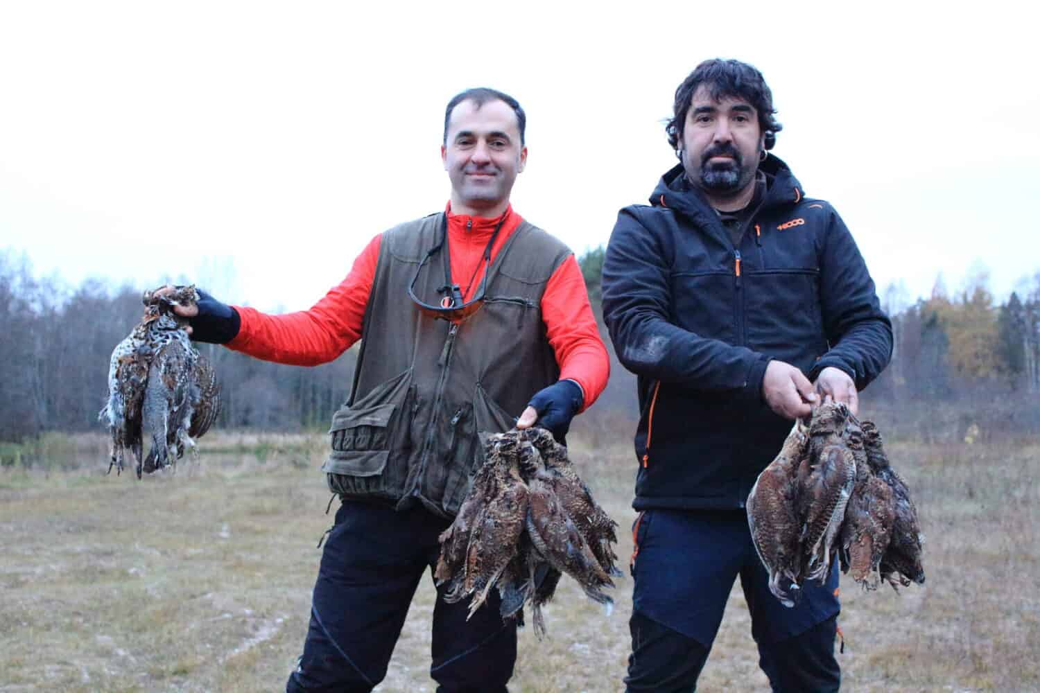 Setter inglese beccaccia